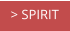 > SPIRIT