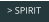 > SPIRIT