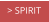 > SPIRIT